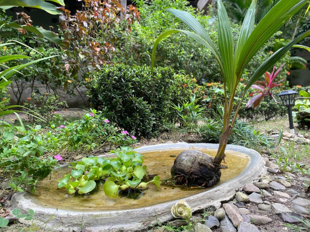 Casa Juana Palomino Otel Dış mekan fotoğraf